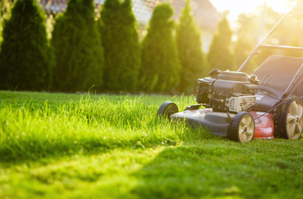 Mowing Stock