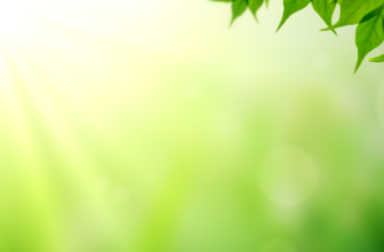 Summer Stock Banner