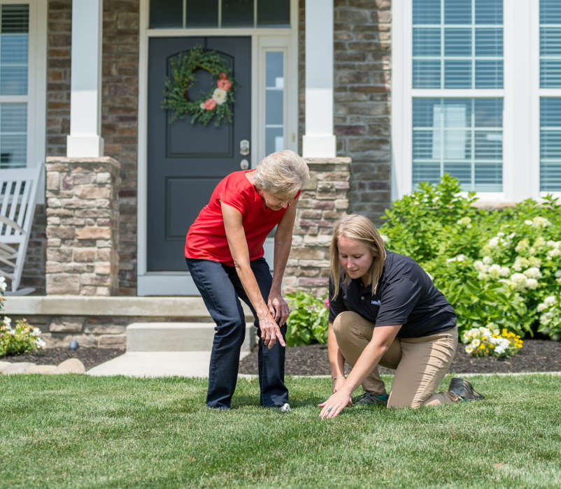 Lawn Care Inspection