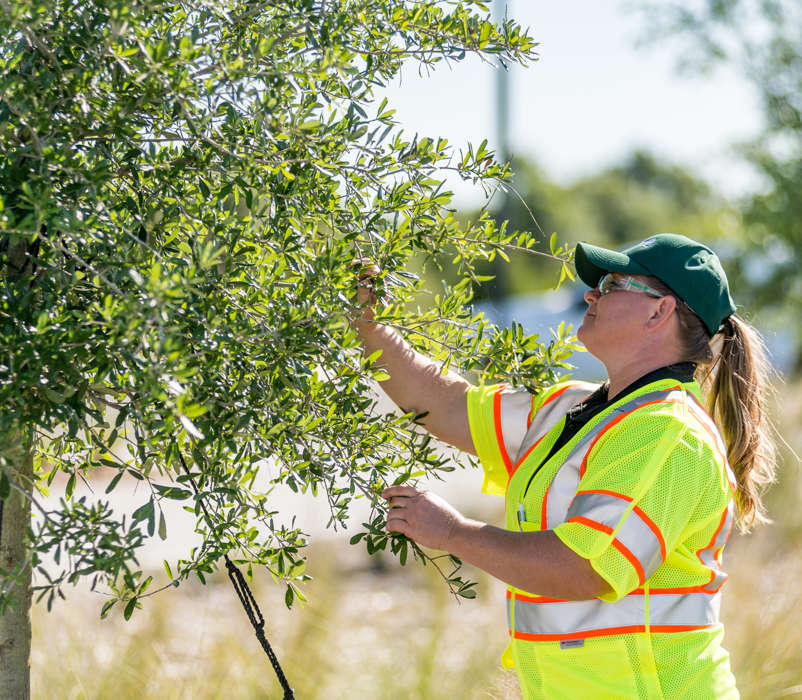 Commercial Property Assessment