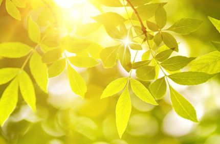Spring Stock Banner